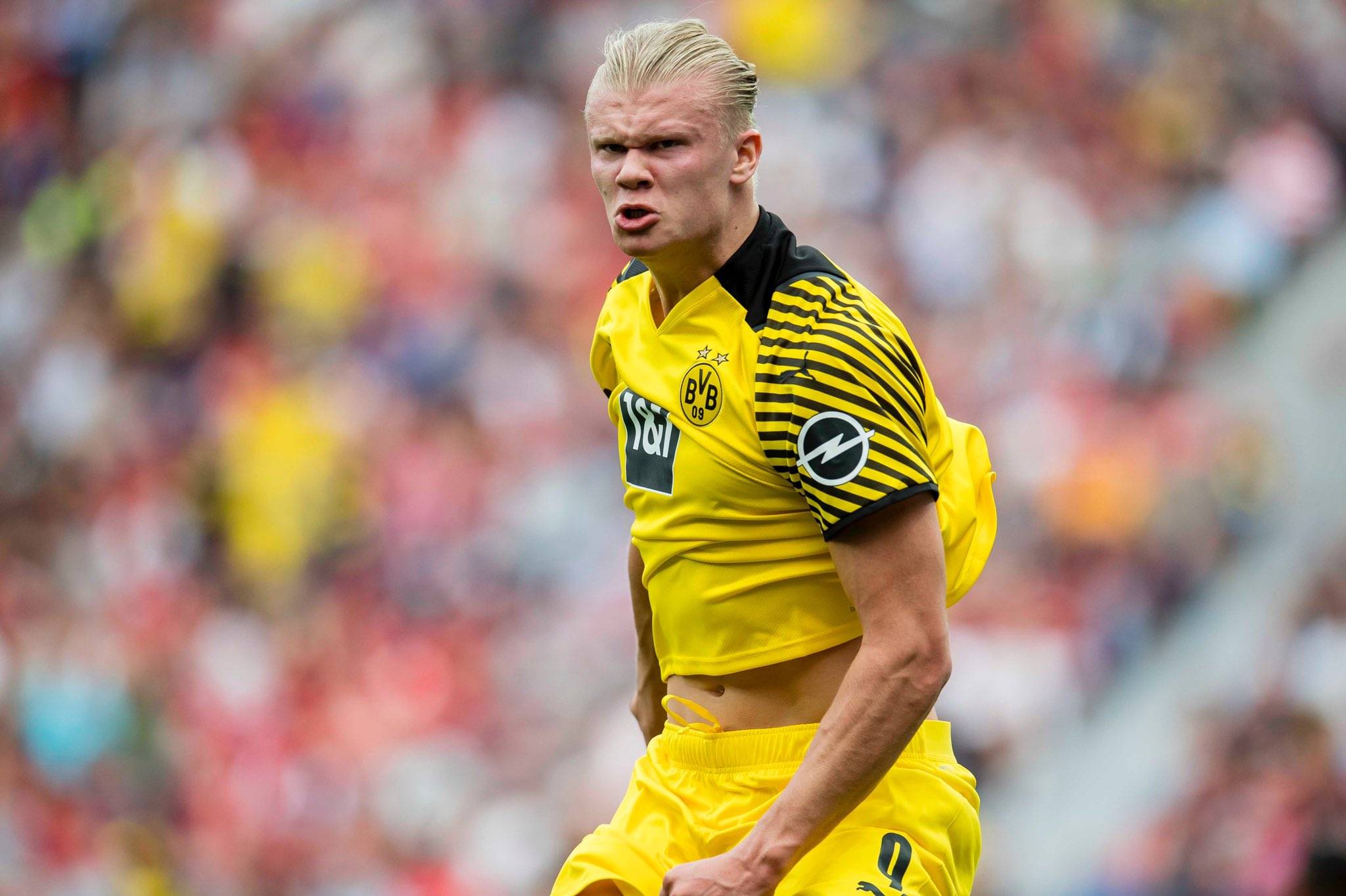 TA：皇马寻求引进后卫和中场；他们愿听取对罗德里戈的报价（TA：皇马寻觅后卫和中场补强，愿听取罗德里戈报价）